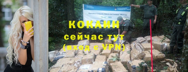 винт Аркадак