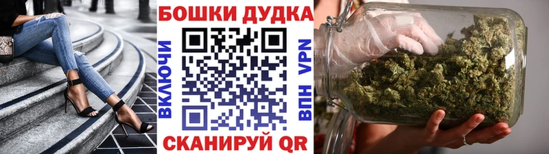 закладка  Мезень  Марихуана Amnesia 